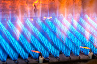Drymen gas fired boilers